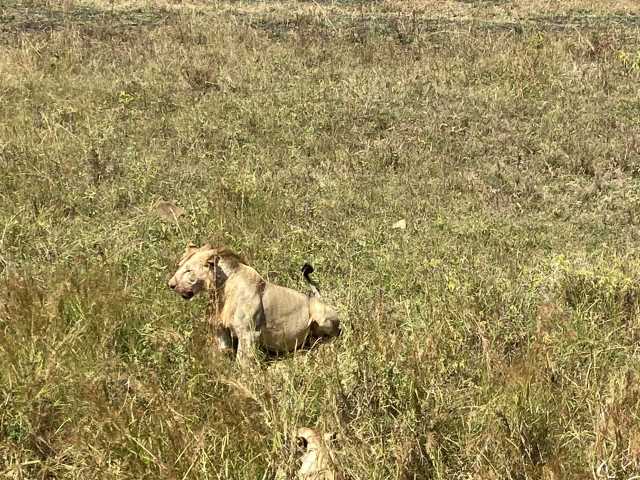 13 jours en Tanzanie et à Zanzibar : un excellent rapport qualité-prix