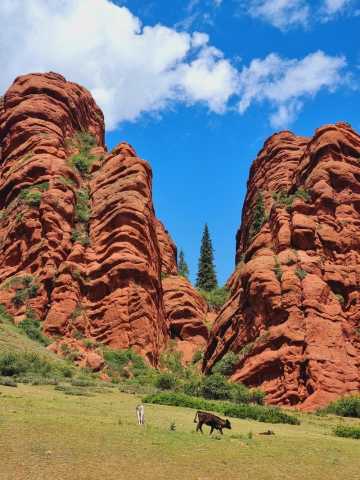 Kazakhstan and Kyrgyzstan combined