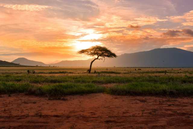 5-Day Amboseli & Tsavo National Parks Safari