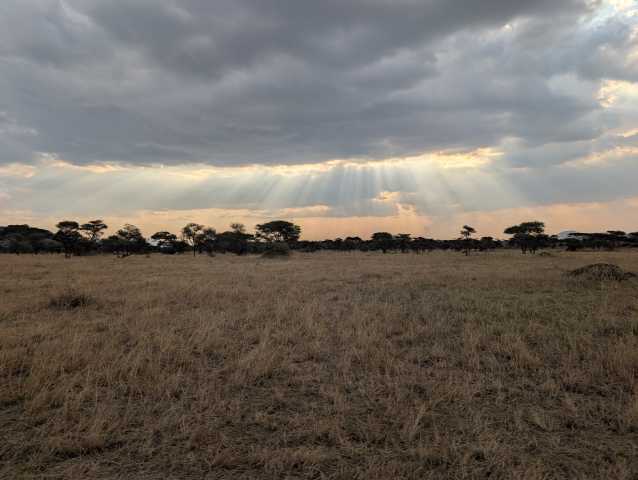 Safari de 12 jours, mode de vie local et Zanzibar tout compris