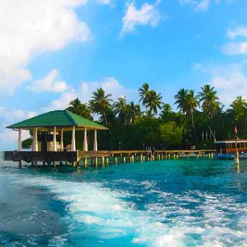 Flitterwochen auf der Insel Embudu
