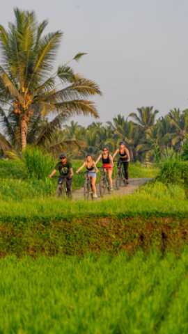 Bali en famille avec des ados : aventures, culture et moments inoubliables sur l’île des Dieux.