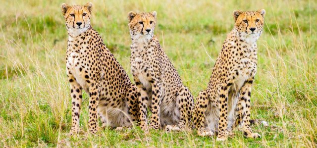 3-Day Budget Group Safari in 4WD Land Cruiser