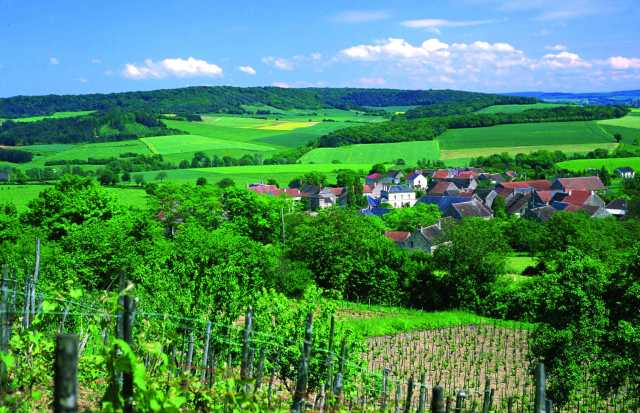 Retiro de ioga Pais-Filhos no Morvan