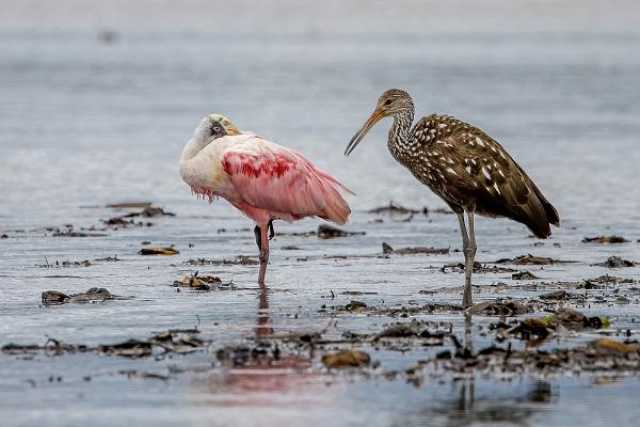 Van de Caribische kust tot de Pacifische kust van Costa Rica.