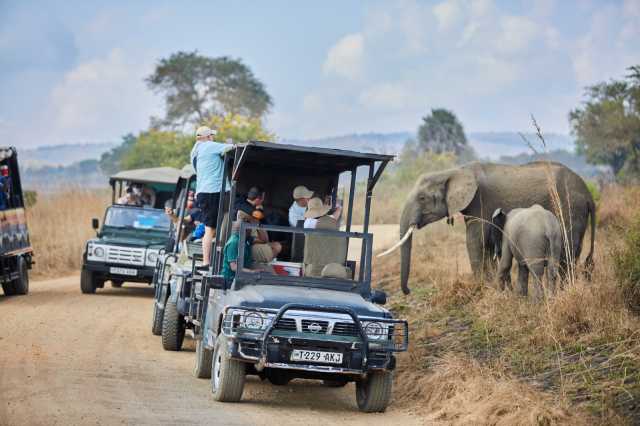 Vivez l'excursion d'une journée de Dar es Salaam au parc national de Mikumi