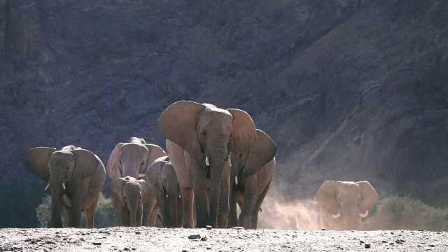 Die Flüsse Namibias