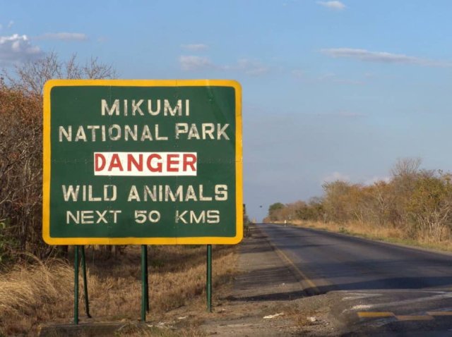 Safari en Mikumi en 2 días — En tren y por carretera