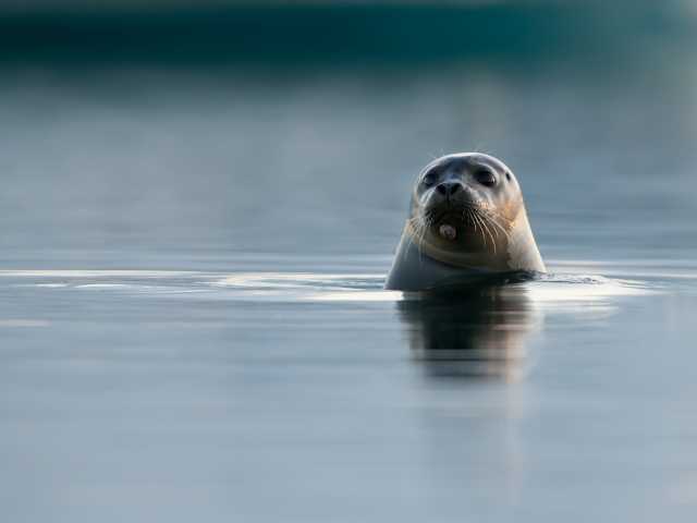 Viagem ao Centro da Terra: Excursão de um dia a Snæfellsnes e à Caverna de Lava
