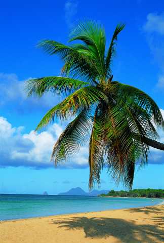 Parentesi in paradiso: soggiorno di charme su un'isola tropicale privata