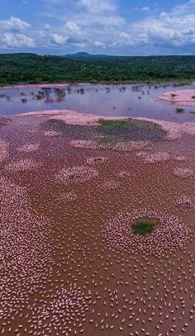 Nakuru-Lake Bogoria Tagesausflug