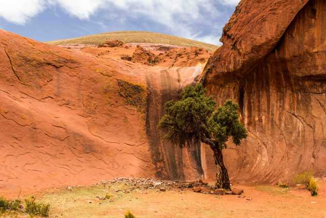 Rencontres et saveurs dans le nord de l'Argentine