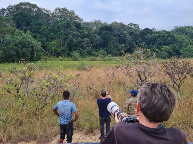 Ontdekking van Nyonié