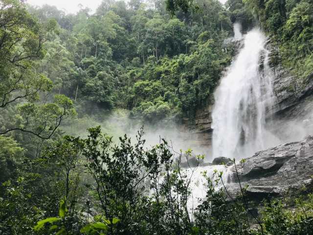 Ongewone ontmoetingen in het land van het groene goud