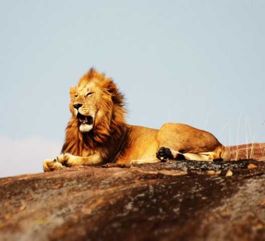 12 jours : Circuit au nord de la Tanzanie & Zanzibar