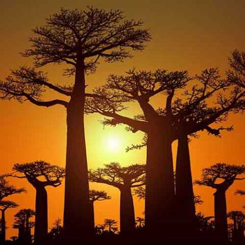 À descoberta do sudeste de Madagáscar