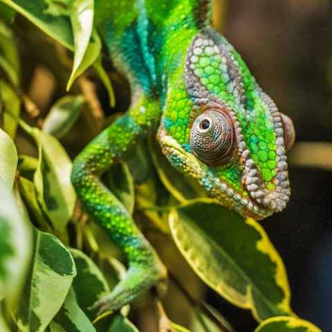 Road-trip na Rota Nacional 7 de Madagascar