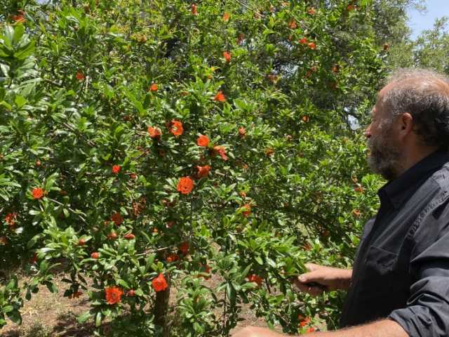 Van oost naar west: complete autorondreis door Kreta in alle vrijheid