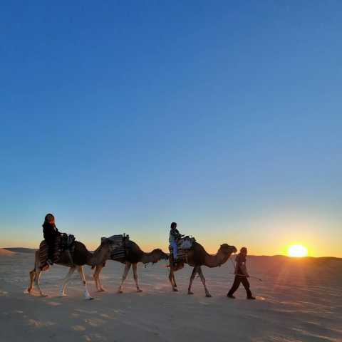 De Djerba à Douz : une journée à travers les paysages de Matmata