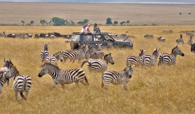 Safari di 3 giorni: Serengeti e Cratere di Ngorongoro (Esperienza Big Five)