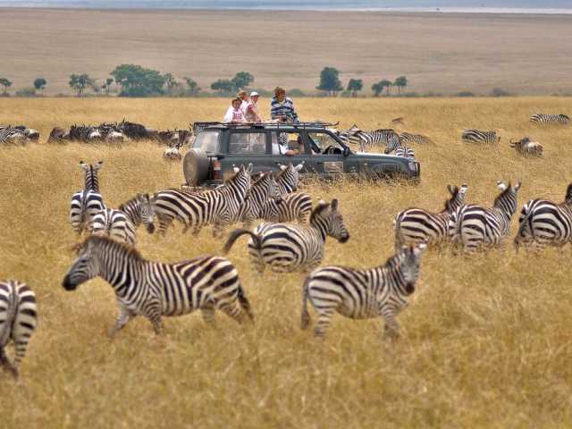 Safari de 3 jours : Serengeti & cratère du Ngorongoro (Expérience Big Five)
