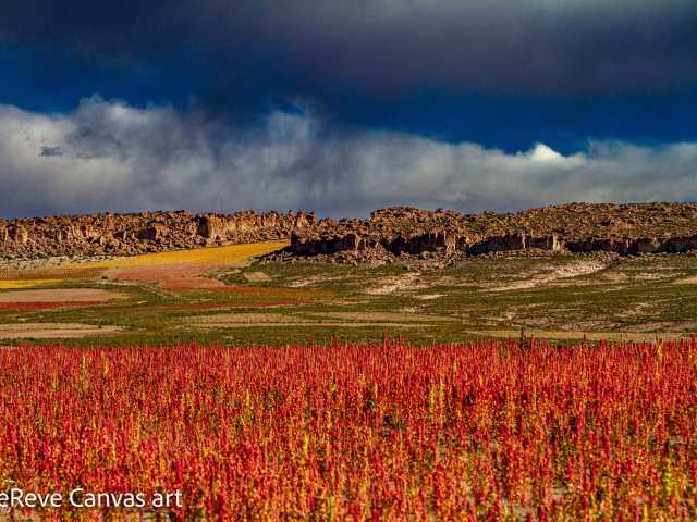 Du lac Titicaca au parc national Madidi et au spectaculaire Uyuni (ATC 02).