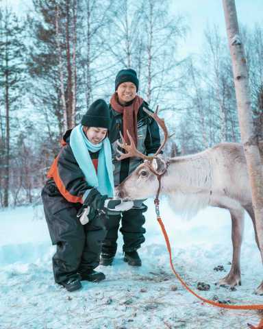 Postman's Arctische Toevluchtsoord