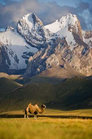 Colors of Kyrgyzstan 2021