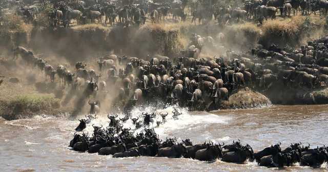 Safari de 9 jours de la Grande Migration des gnous du Serengeti