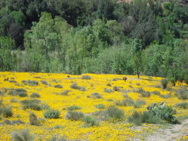 Gran Tour de Marruecos