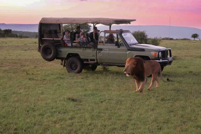 2-Day Akagera Safari: Camping and a Romantic Evening