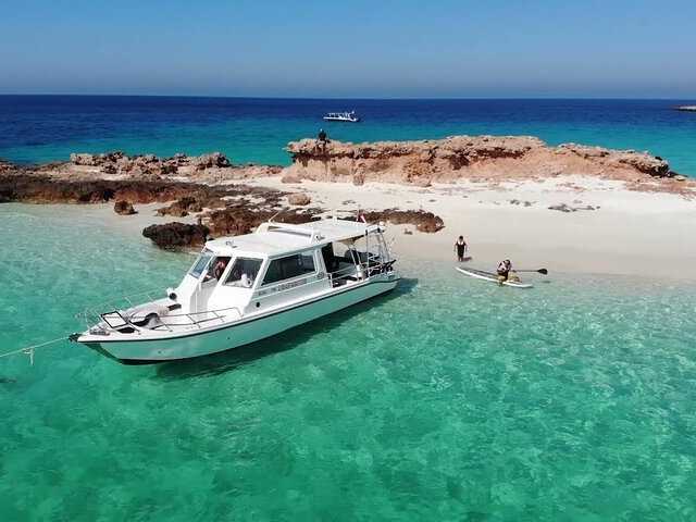 Merveilles de l'île Dimaniyat : excursion de 6 heures - Plongée avec tuba pour explorer la vie marine