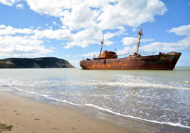 Essentiels de la Patagonie : faune marine, terres australes et glaciers mythiques