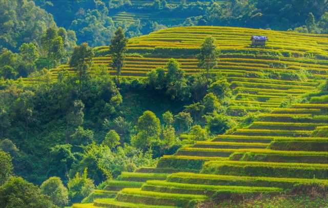 Le risaie terrazzate nel nord-ovest del Vietnam in 7 giorni e 6 notti.
