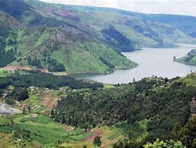 Esperienza Safari Grand Uganda di 14 giorni