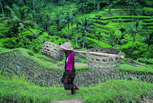 Votre voyage en famille à Bali
