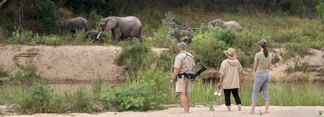 7-Day Luxury Kruger Safari Trip