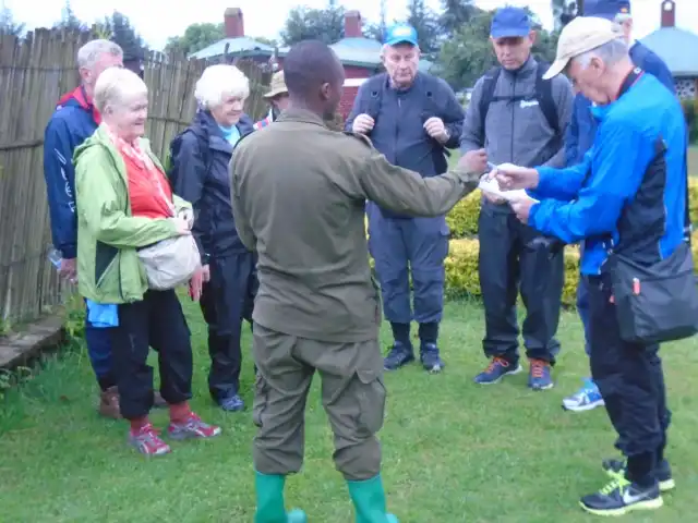 Excursión de 3 días para ver gorilas de montaña y monos dorados