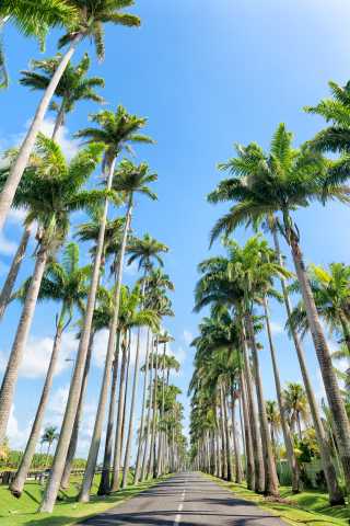 Ontsnapping - Lagonzijde