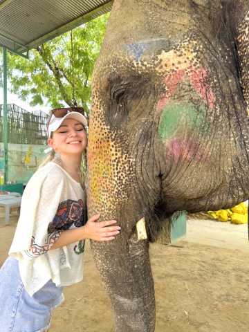 Kulturelles Kaleidoskop: Entdecken Sie Indiens goldene Schätze