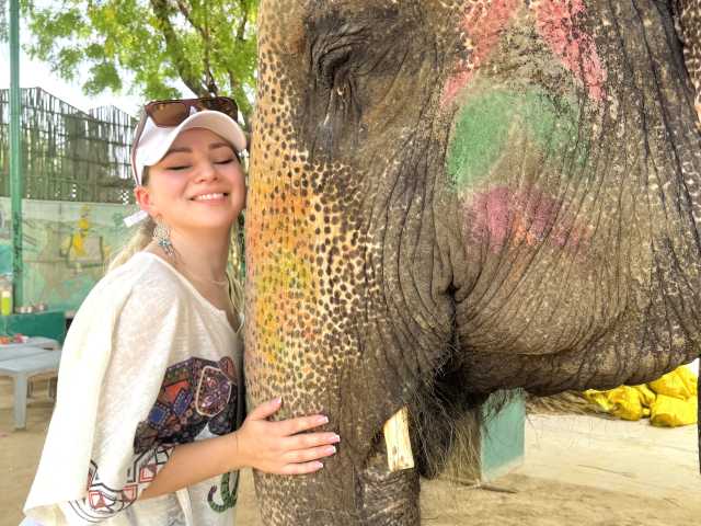 Cultural Kaleidoscope: Discover India's Golden Treasures