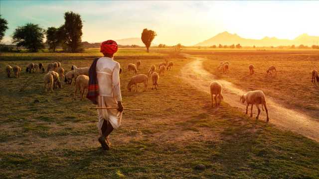 Juwelen van Noord-India