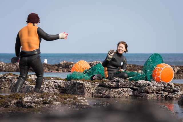 The essence of Korea: Seoul, Gyeongju, Busan and Jeju