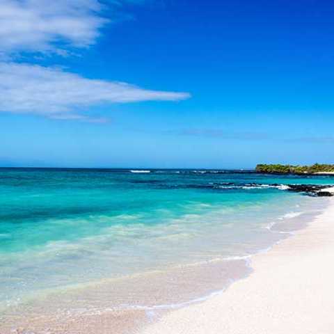 Galápagos Islands Tour