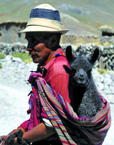 Caravana andina: travesía de los Andes al ritmo de las mulas del Altiplano.