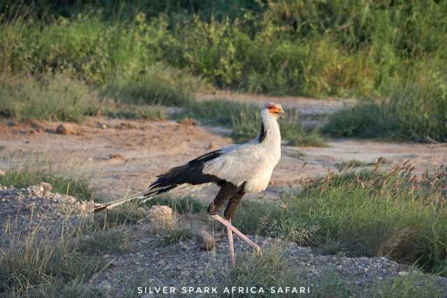 4-tägiges Game Maasai Mara mit Lake Naivasha Geographisch