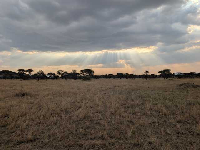 13 jours en Tanzanie et à Zanzibar : un excellent rapport qualité-prix