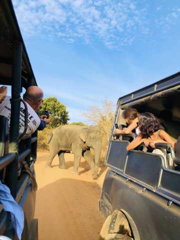 Esplora la Mitica Ceylon