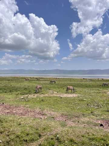 Ngorongoro Krater Dagtocht - Privésafari vanuit Arusha