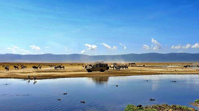 Ngorongoro Day Trip